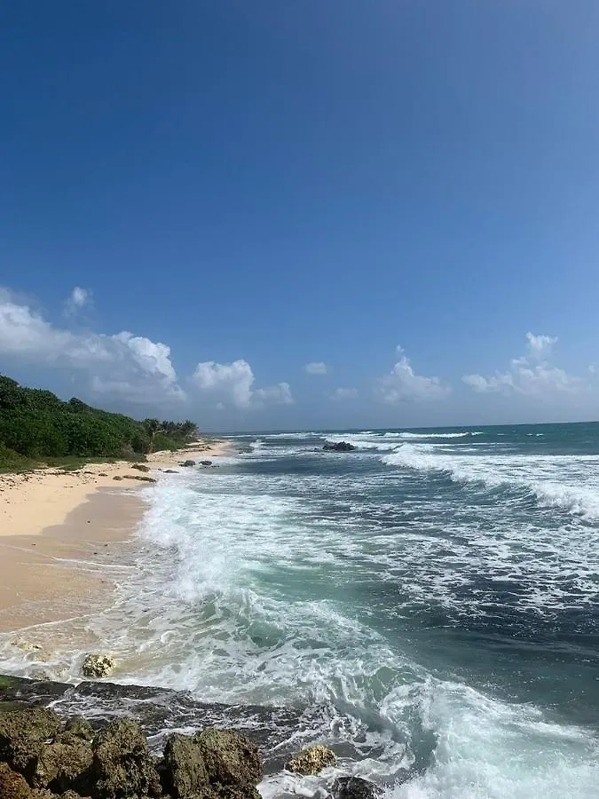 Villa Nomilou Beach avec Accès direct à la Plages Saint-Francois